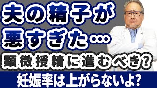 【妊活】夫の精子が悪い…！悪いなら顕微授精に進んだほうが授かりやすい？