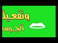 كوبايه _دقيق_ واحده واعملي احلي واسرع قطايف_حلي_ توووحفه 👍👍😋😋