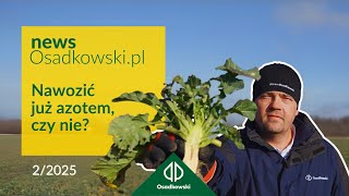 2'25 | Nawozić już azotem, czy nie? Na co zwrócić uwagę na plantacji rzepaku