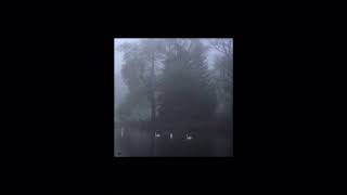 leverfall - waiting (slowed + reverb)