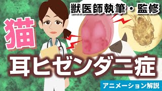 猫の耳ヒゼンダニ症について【獣医師執筆監修】症状から治療方法まで