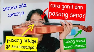 Cara ganti senar biola, cara pasang bridge, cara (aku) tuning biola | ala otodidak