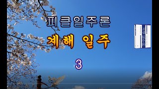 [피클 일주론] 65-3 💝 계해일주 3 - 피클의 행복한 명리