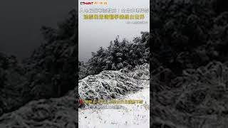 CTWANT 生活新聞 / 入冬最強寒流發威！全台多地降雪　追雪民眾嗨翻爭睹銀白世界 #shorts