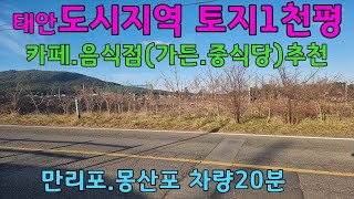 [물건번호 300번] 태안 도시지역 토지입니다. 2차선 도로 접해있으며 토지면적 약1천평으로 카페. 음식점 추천드립니다.