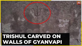 Gyanvapi ASI Survey Update: ASI Is Carrying Out The Survey From The Basement To The Dome | Watch