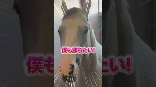 調教師と反省会をする中端っこから動こうとしないゴルティ #ゴールドアバンティ #競馬 #馬