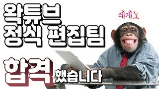 [우왁굳 생방 반응] 왁튜브 정식 편집팀 합격했습니다