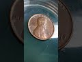 big money for this rare error 1977d lincoln penny penny coins money