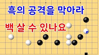 칠전팔기 타이젬 3급  흑의 공격을 막아라 실제둔 바둑기보입니다