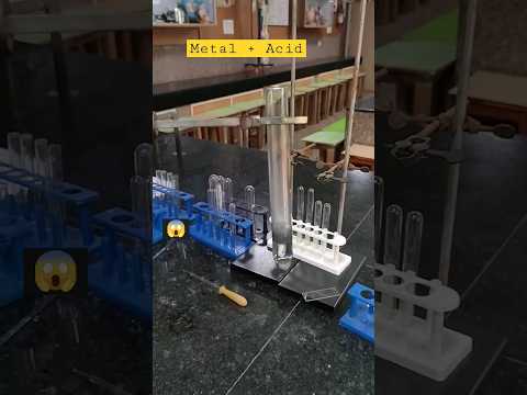 #science #experiment #chemistry #laboratory #reactions how AluminumAl reacts with hydrochloric acidHCl