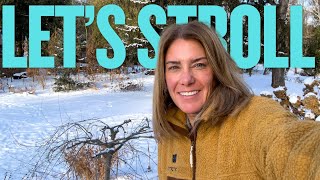 Snowy garden stroll + what's been happening