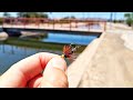 Can I Catch A MONSTER FISH With This TINY FLY? (Epic!)