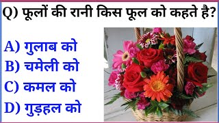 फूलों की रानी किस फूल को कहते है।। सामान्य ज्ञान बहुविकल्पी प्रश्र ।। top gk questions in hindi ।।