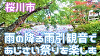 《茨城県桜川市》雨引観音で雨の中のあじさい祭りを楽しんできました！(2021年7月)