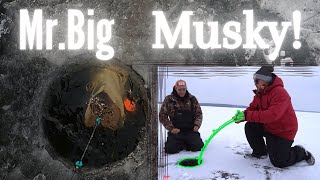 Musky on the FROSTBITE MR Big Rod (WE LOST A Giant)