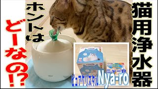 猫用の浄水器ってホントはどーなの！？