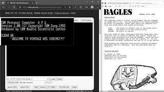 APL Game Programming: Bagles