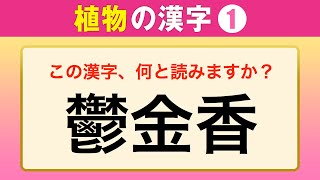 【漢字の雑学】植物の漢字①（30問）