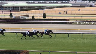 【現地】ブラックノワール メイクデビュー東京 新馬戦