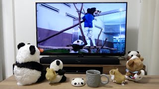 【可愛い♥】桜浜🌸桃浜🍑閉園時間の回収🐼 神戸で過ごすおうち時間🐼 Tiyon Tubeさんの動画をみる🐼