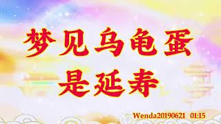 卢台长开示：梦见乌龟蛋是延寿Wenda20190621   01:15