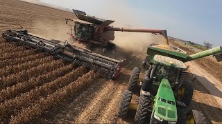 Soybean Harvest SE Arkansas 2024