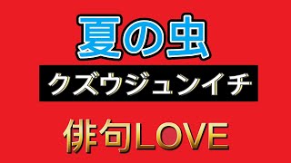 2022年5月25日『夏の虫／クズウジュンイチ』 俳句LOVE