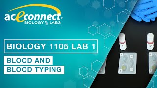 Biology 1105 Lab 1 || Blood and Blood Typing