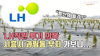 ‘LH직원 투기 의혹’ 시흥시 과림동 부지 가보니...