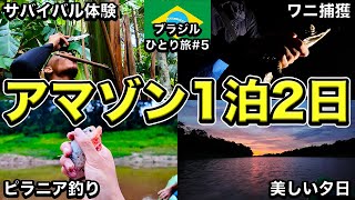 【アマゾン🇧🇷】ブラジルのジャングルに1泊2日で潜入！大満足の自然生活【25歳男ひとり旅】