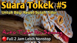 Suara Tokek  Seram Pengantar Bayi Susah Tidur Full 2 jam , the sound of a big Spooky Gecko in Bed #5