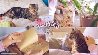 #42 🐾 | The art of doing nothing | A slow, healing morning | Cat cuddles, journaling, plant care