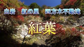 白岩　紅の里　四方木不動滝の紅葉