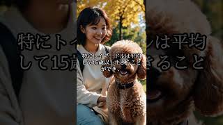 【長寿な犬種ランキング】いつまでも元気！寿命が長い犬たちを紹介🐕✨ #飼いやすい