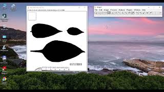 [Tutorial] Pengukuran Luas Daun Menggunakan ImageJ