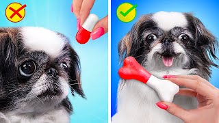 ¡Tan Lindos! ¡15 Extraños Trucos Para Mascotas!
