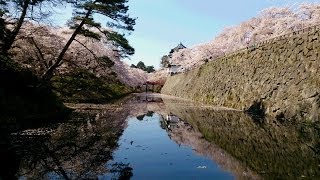 【絶景】弘前 さくらまつり 2014 - Hirosaki Cherry Blossom Festival - 【JAPAN Sightseeing】