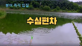 붕어즉각입질 139  -  수심편차