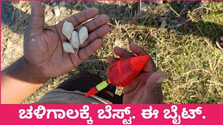 ಚಳಿಗಾಲದಲ್ಲಿ ಮೀನು ಹಿಡಿಯಲು ಬಳಸುವ ಸರಳವಾದ ಬೈಟ್.