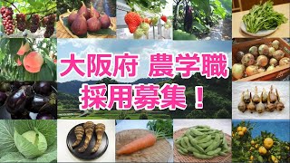 【農学職】職種紹介動画