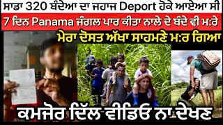 Usa donkey story punjabi ਕਿਉ deport ਹੋ ਗਏ 320 ਬੰਦੇ #podcasts #usadonkey #punjab