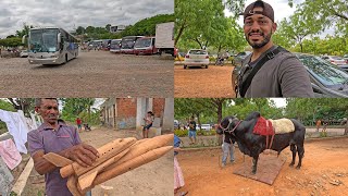 Juazeiro do Norte continues to surprise with many tourists and pilgrims + visiting Zé do Avião