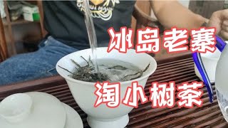 小树春茶！古树茶都到哪去了？