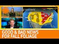 Fall Foliage Forecast: Good News & Bad News For Some