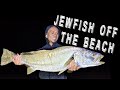 Jewfish off the beach