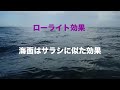 青物が釣れにくくなる、活性が低くなる要素