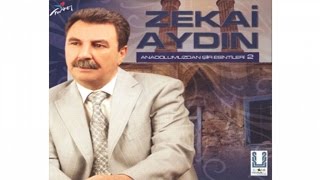 Zekai Aydın - Sen Bu İstanbula Ne Diye Geldin