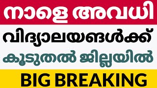 കൂടുതൽ ജില്ലയിൽ അവധിl സ്കൂൾ പ്രൊഫഷണൽ കോളേജ് l school holiday l collector declared holiday