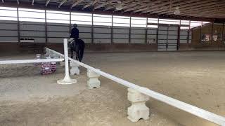 Dressage Training 3 Test/Tilly